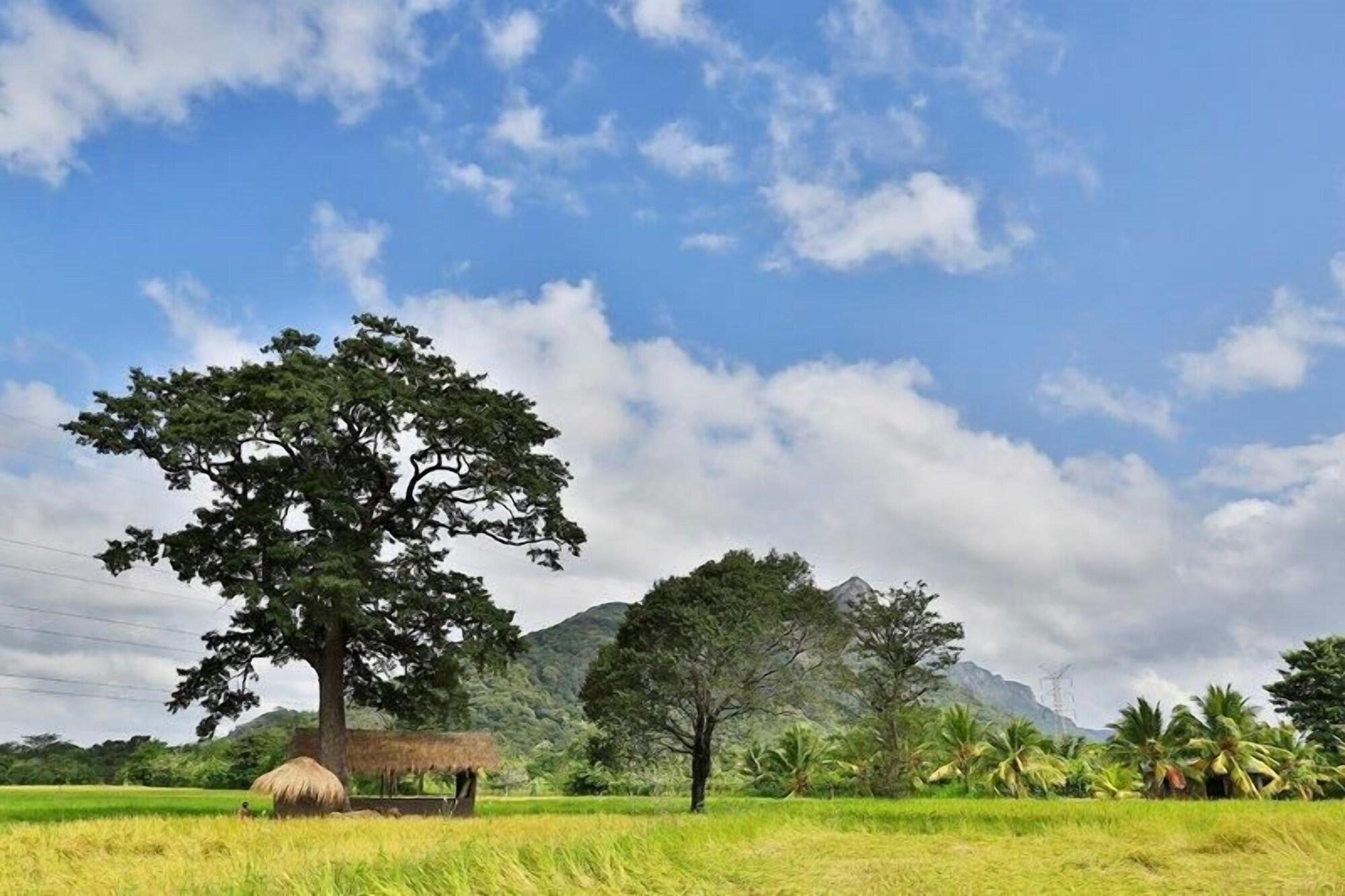 Kalundewa Retreat Hotell Dambulla Eksteriør bilde