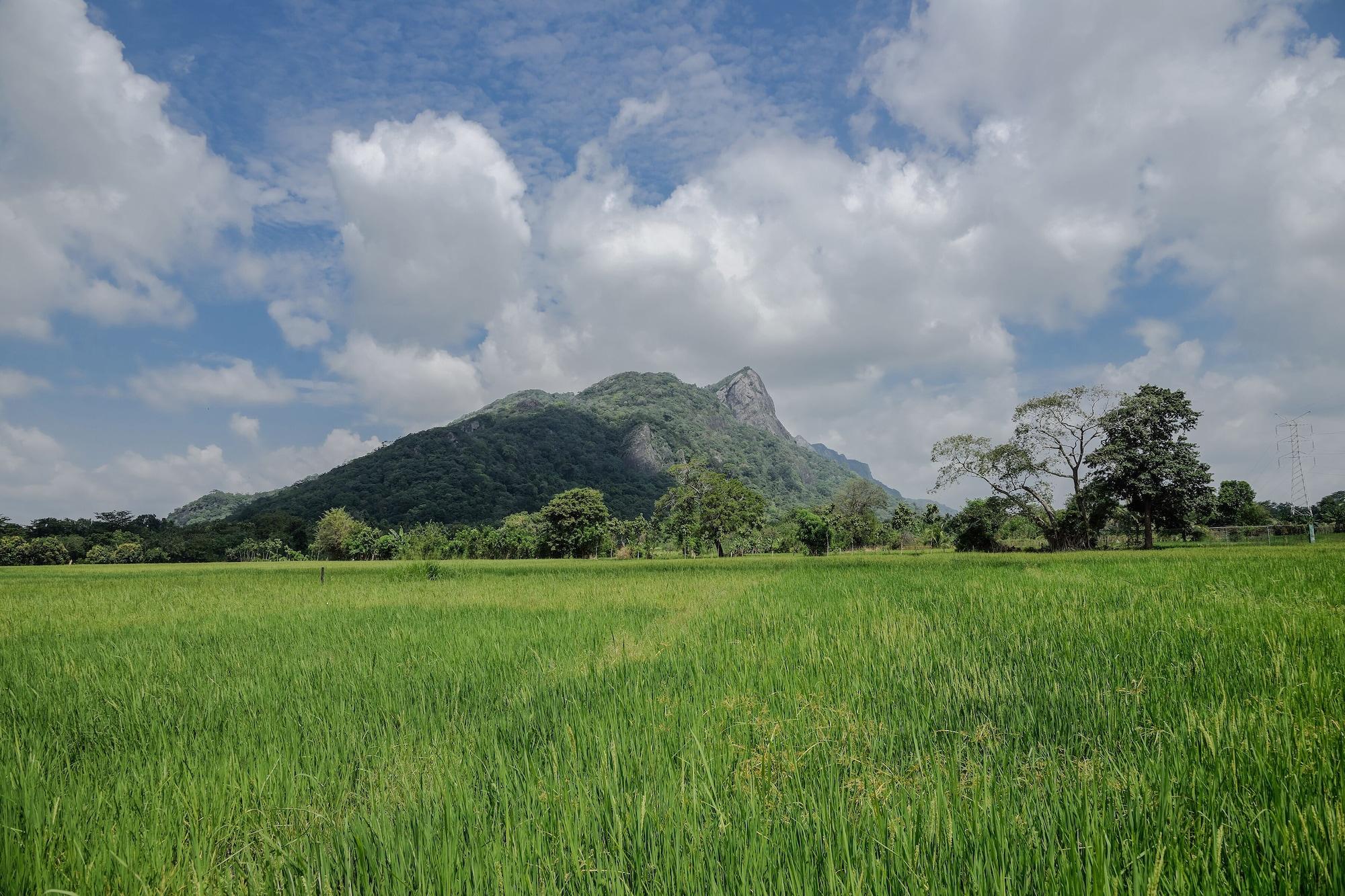 Kalundewa Retreat Hotell Dambulla Eksteriør bilde