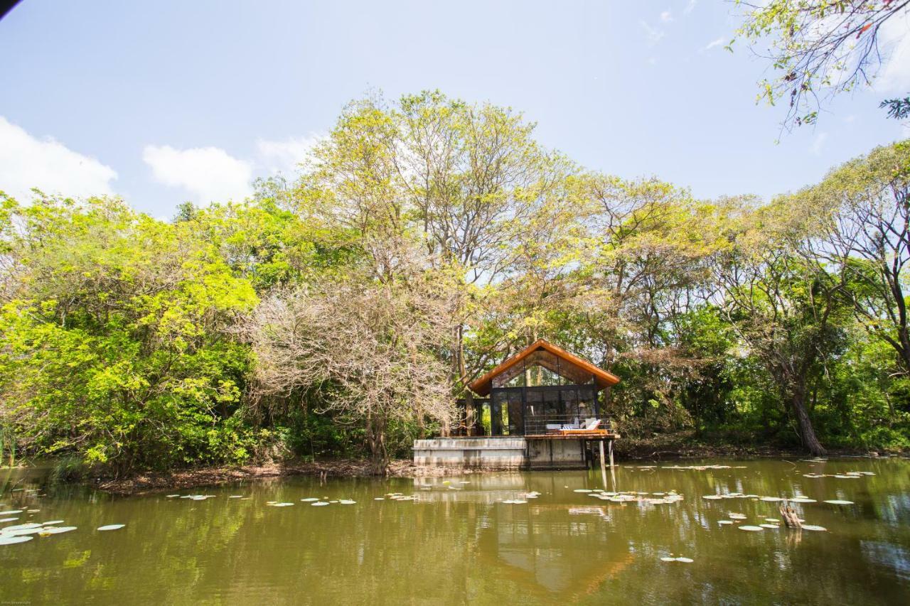 Kalundewa Retreat Hotell Dambulla Eksteriør bilde